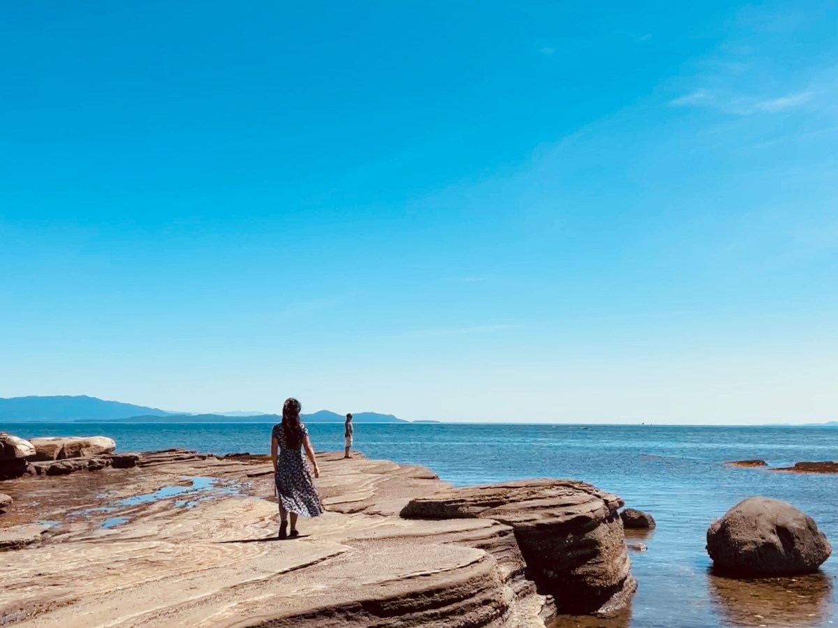 The Last Summer: A Shift in the Sunlight and a Change in&nbsp;Perspective