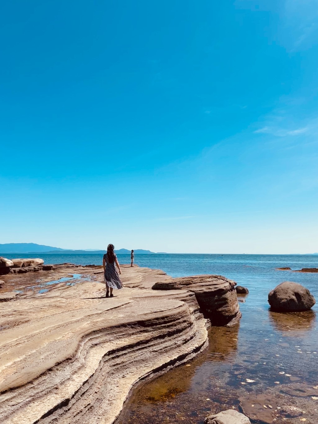 The Last Summer: A Shift in the Sunlight and a Change in Perspective